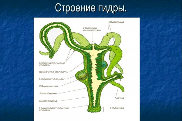 Ссылка омг официальная